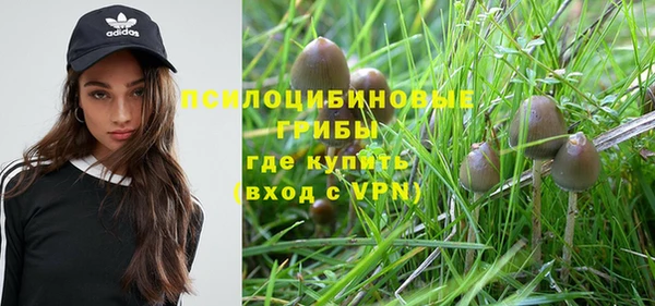 прущие грибы Карпинск