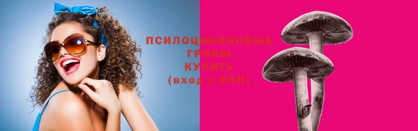 прущие грибы Карпинск
