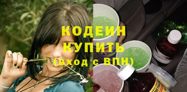прущие грибы Карпинск