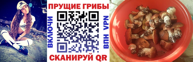 Галлюциногенные грибы прущие грибы  Купить закладки  Елизово 